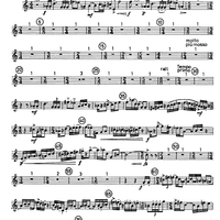 Trumpet Concerto - Trumpet in C
