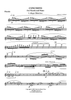 Concerto for Piccolo and Piano - Flute