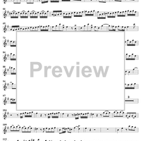 Concerto in E Minor for Recorder and Flute