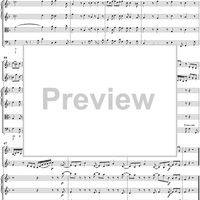 Double Violin Concerto - Score