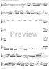 Concerto No. 2 in D Minor, Op. 2 - Violin