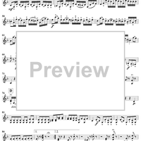 Violin Duets, Op. 71 - Violin 2