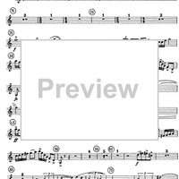 Horn Concerto - Horn in F