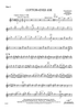 Cotton-Eyed Joe - Flute 2
