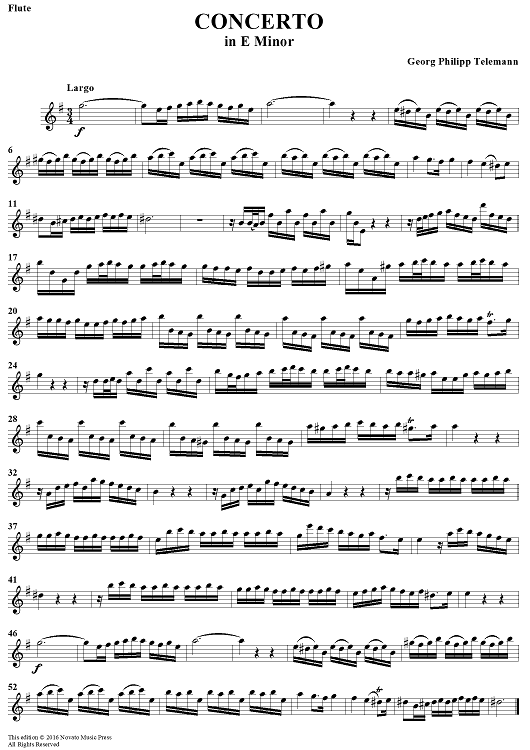 Concerto in E Minor for Recorder and Flute
