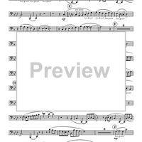 Suite for Horn and Tuba - Tuba