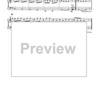 The Irish Washerwomen