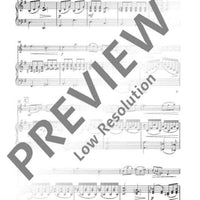 Concerto B Minor in B minor