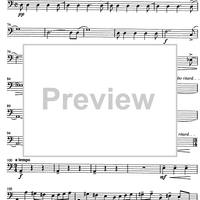 Jarní Hudba - Double Bass