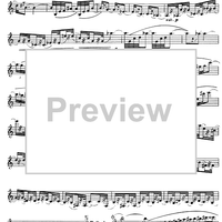 Preliminary studies to 'The Accomplished Clarinettist' Vol. 3 - Clarinet