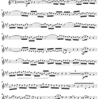"Gott ist mein Freund", Aria, No. 2 from Cantata No. 139: "Wohl dem, der sich auf seinen Gott" - Violin