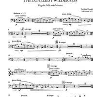 The Loneliest Wilderness - Elegy for Cello and Orchestra - Cello