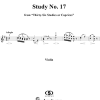 Study No. 17