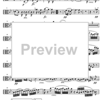 String Quintet G Major Op.33 - Viola 1