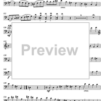 Carmen pro carmine - aria con variazioni - Cello