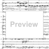 Flute Concerto No. 1 in G Major K285c (K313) - Full Score