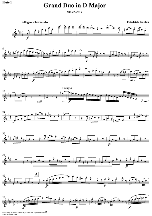 Grand Duo in D Major, Op. 39, No. 3 - Flute 1