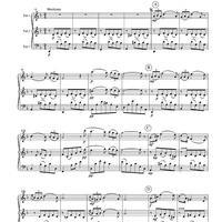 Serenade - from Schwanengesang, #4 - Score