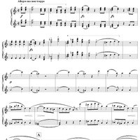 Allegro in A Minor, Op. posth144