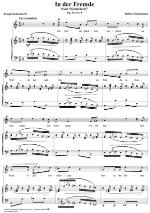 Liederkreis, Op. 39: No. 8, In der Fremde