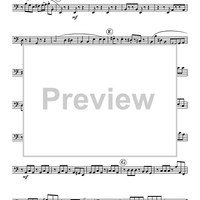 Concerto Grosso in A Minor - Bassoon