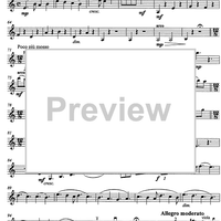 Carmen pro carmine - aria con variazioni - Violin 2