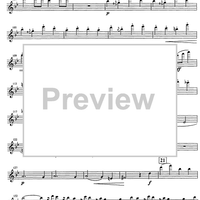 Im Schweizer Volkston - Flute