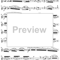 Grand Duo in D Major, Op. 39, No. 1 - Flute 2