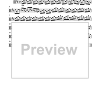 Largo from The Four Seasons - Viola