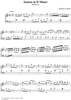 Sonata in D minor, K. 9