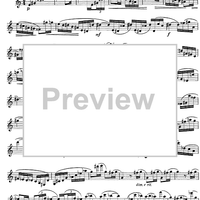 The Accomplished Clarinettist Vol. 2 - Clarinet