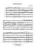 Operatic Rag - Score