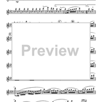 Quintet No. 3 - Flute