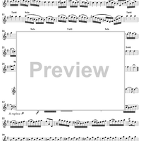 Violin Concerto in G Major    - from "L'Estro Armonico" - Op. 3/3  (RV310) - Violin 1