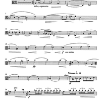 Musica per quattro strumenti - Viola