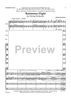 Boisterous Flight - Score