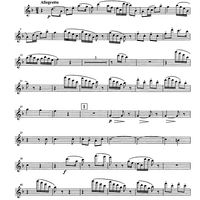 Im Schweizer Volkston - Flute