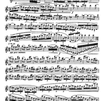 The Accomplished Clarinettist Vol. 1 - Clarinet