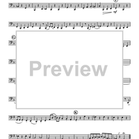 A Dixieland Funeral - Tuba