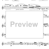 Andante and Scherzo - Flute