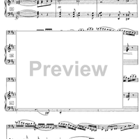 Concerto D Major - Score