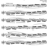 Capriccio No. 7 B Major