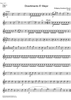Divertimento Eb Major KV289 - Horn in E-flat 1
