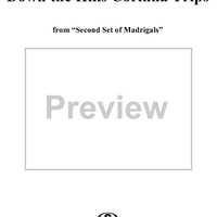 Down the Hills Corinna Trips