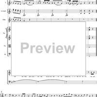 "Marito io vorrei, ma senza fatica", No. 3 from "La Finta Semplice", Act 1, K46a (K51) - Full Score