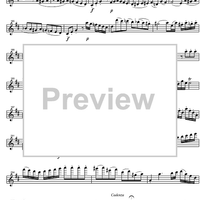 Concerto No. 4 D Major KV218 - Violin