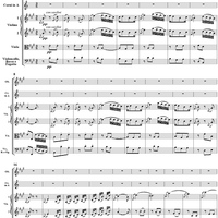 Symphony No. 45 in F-sharp Minor  ("Farewell")  movt. 2 - Hob1/45 - Full Score