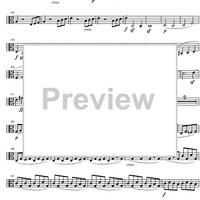 String Quintet C Major Op.29 - Viola 2