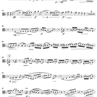 String Quartet in D Minor, "Voces Intimae," Op. 56 - Viola
