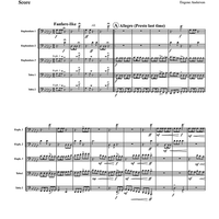 Hawaiian Quintet - Score